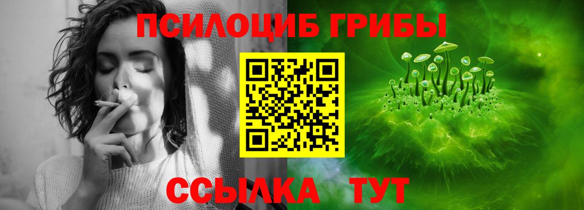 Галлюциногенные грибы GOLDEN TEACHER Черкесск